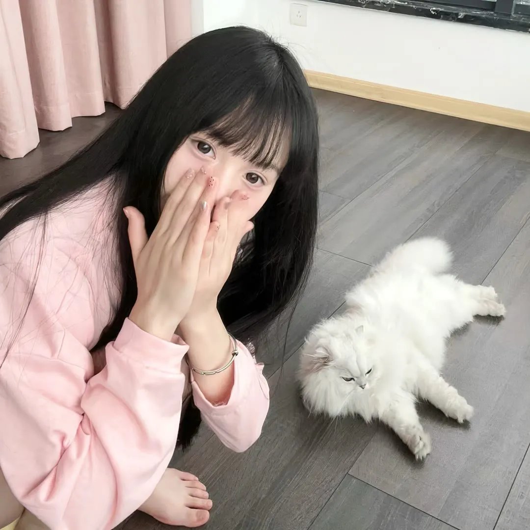 铁腕英雄